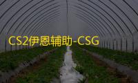 CS2伊恩辅助-CSGO2透瞄锁头多功能版伊恩应用